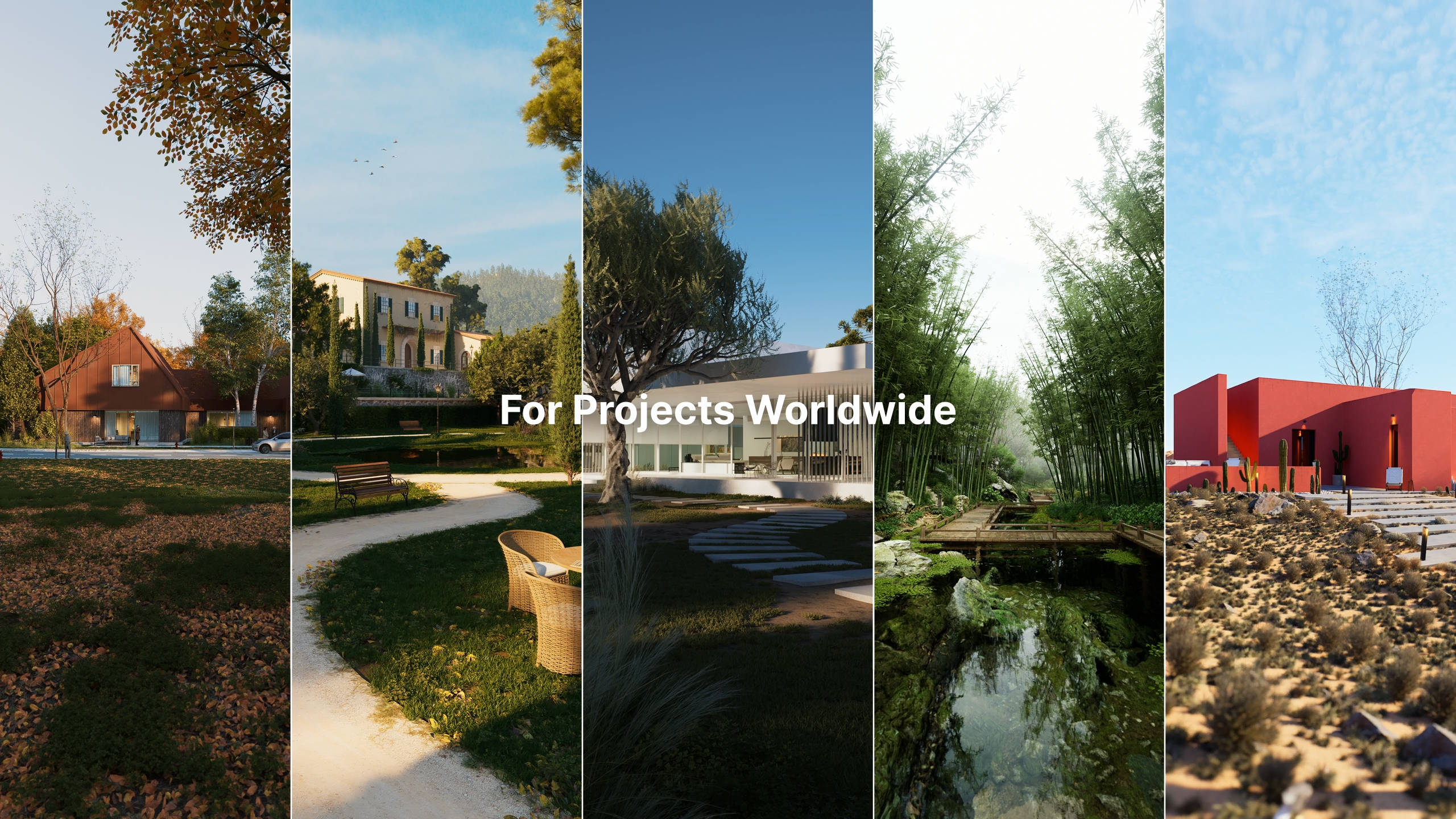 3D Asset Library