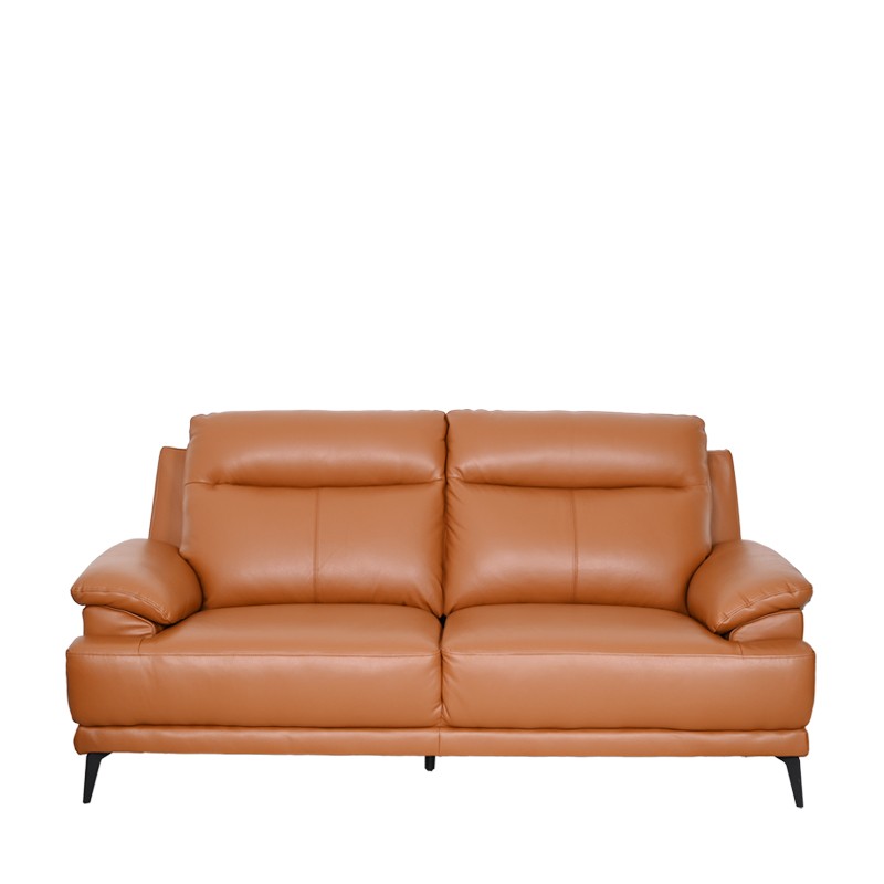 FICUS 2 SEATER SOFA