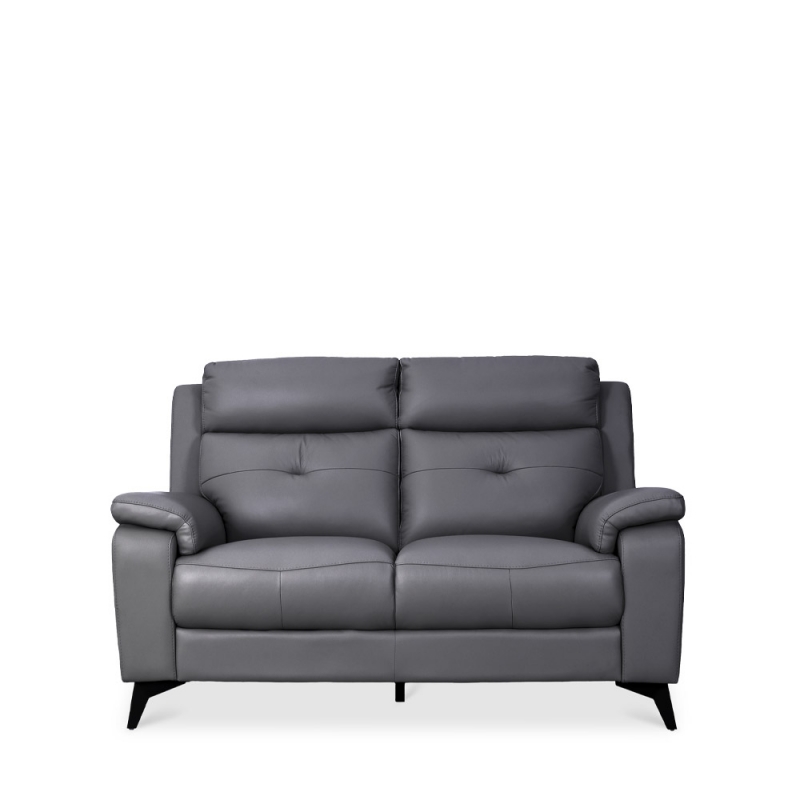 NEWTON 2 SEATER SOFA