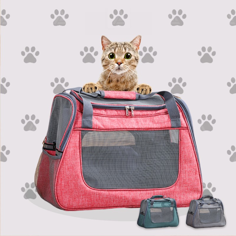 PT CWB164 PET HANDBAG