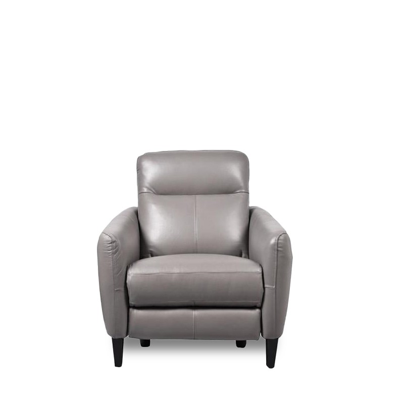 SERENE ARMCHAIR w/ POWERED RECLINER
