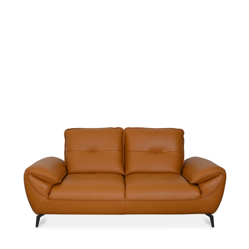 ZAPLIN 2.5 SEATER PUSH BACK SOFA