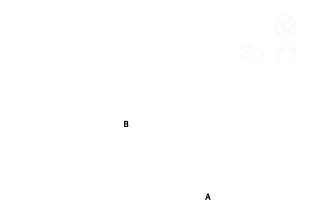 D5 Solution for IT Department of Architecture Firms